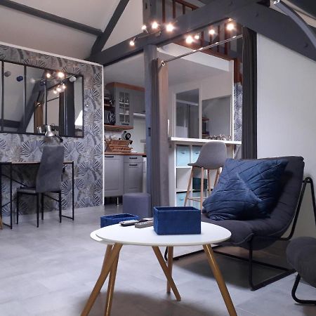 Loft Haut De Gamme Centre Montargis, Place De Parking, Local A Velos, Linge De Lits Et Serviettes, Coin Riviere Amenage, Hamac, Epicerie, Velos En Option, Tout Confort Jusqu'A 4 Voyageurs المظهر الخارجي الصورة
