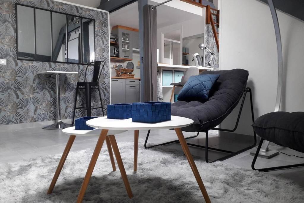Loft Haut De Gamme Centre Montargis, Place De Parking, Local A Velos, Linge De Lits Et Serviettes, Coin Riviere Amenage, Hamac, Epicerie, Velos En Option, Tout Confort Jusqu'A 4 Voyageurs المظهر الخارجي الصورة