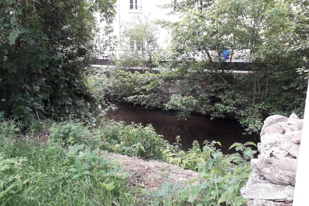 Loft Haut De Gamme Centre Montargis, Place De Parking, Local A Velos, Linge De Lits Et Serviettes, Coin Riviere Amenage, Hamac, Epicerie, Velos En Option, Tout Confort Jusqu'A 4 Voyageurs المظهر الخارجي الصورة