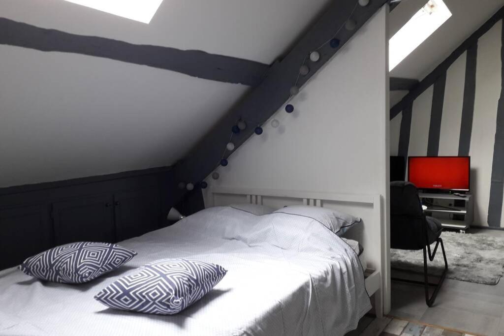 Loft Haut De Gamme Centre Montargis, Place De Parking, Local A Velos, Linge De Lits Et Serviettes, Coin Riviere Amenage, Hamac, Epicerie, Velos En Option, Tout Confort Jusqu'A 4 Voyageurs المظهر الخارجي الصورة