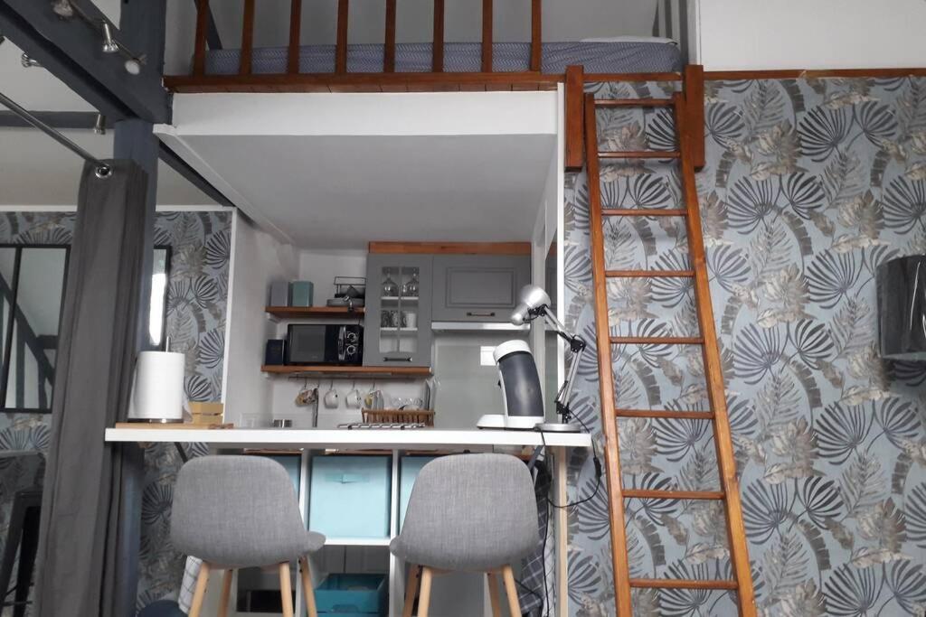 Loft Haut De Gamme Centre Montargis, Place De Parking, Local A Velos, Linge De Lits Et Serviettes, Coin Riviere Amenage, Hamac, Epicerie, Velos En Option, Tout Confort Jusqu'A 4 Voyageurs المظهر الخارجي الصورة