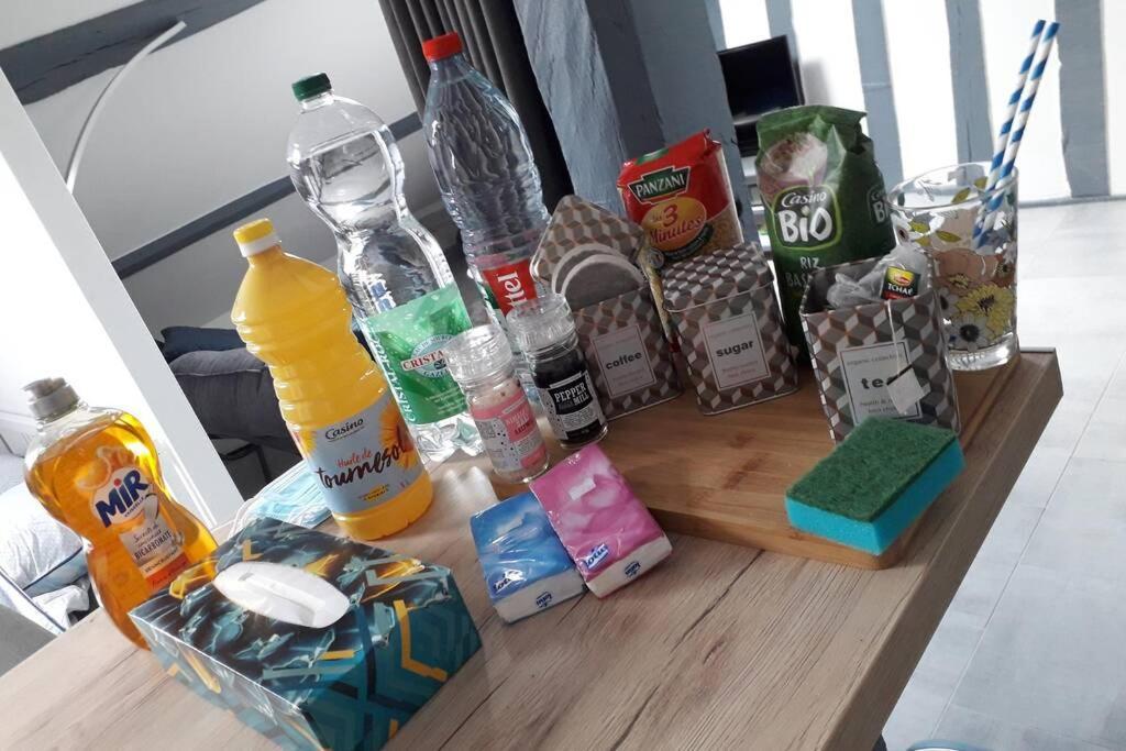 Loft Haut De Gamme Centre Montargis, Place De Parking, Local A Velos, Linge De Lits Et Serviettes, Coin Riviere Amenage, Hamac, Epicerie, Velos En Option, Tout Confort Jusqu'A 4 Voyageurs المظهر الخارجي الصورة