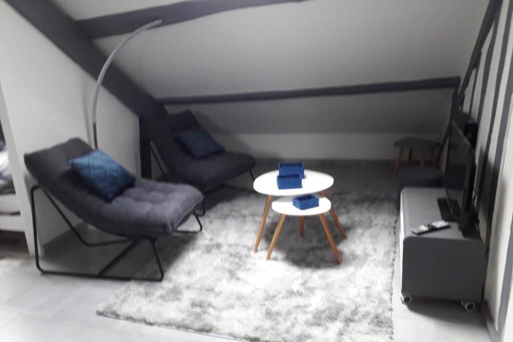 Loft Haut De Gamme Centre Montargis, Place De Parking, Local A Velos, Linge De Lits Et Serviettes, Coin Riviere Amenage, Hamac, Epicerie, Velos En Option, Tout Confort Jusqu'A 4 Voyageurs المظهر الخارجي الصورة