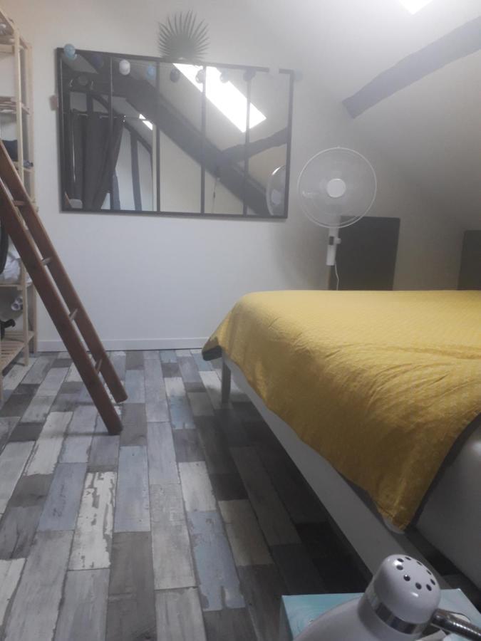 Loft Haut De Gamme Centre Montargis, Place De Parking, Local A Velos, Linge De Lits Et Serviettes, Coin Riviere Amenage, Hamac, Epicerie, Velos En Option, Tout Confort Jusqu'A 4 Voyageurs المظهر الخارجي الصورة