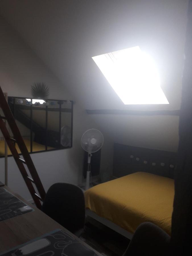 Loft Haut De Gamme Centre Montargis, Place De Parking, Local A Velos, Linge De Lits Et Serviettes, Coin Riviere Amenage, Hamac, Epicerie, Velos En Option, Tout Confort Jusqu'A 4 Voyageurs المظهر الخارجي الصورة