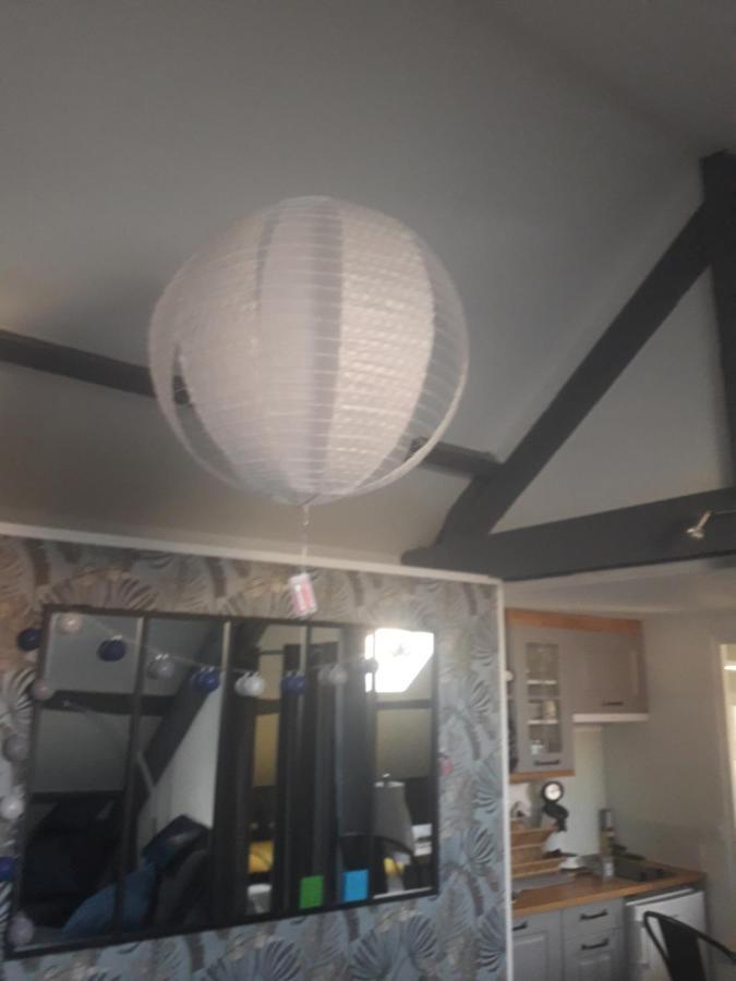 Loft Haut De Gamme Centre Montargis, Place De Parking, Local A Velos, Linge De Lits Et Serviettes, Coin Riviere Amenage, Hamac, Epicerie, Velos En Option, Tout Confort Jusqu'A 4 Voyageurs المظهر الخارجي الصورة