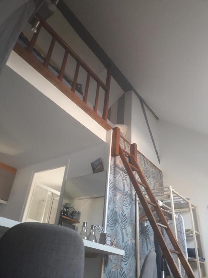Loft Haut De Gamme Centre Montargis, Place De Parking, Local A Velos, Linge De Lits Et Serviettes, Coin Riviere Amenage, Hamac, Epicerie, Velos En Option, Tout Confort Jusqu'A 4 Voyageurs المظهر الخارجي الصورة