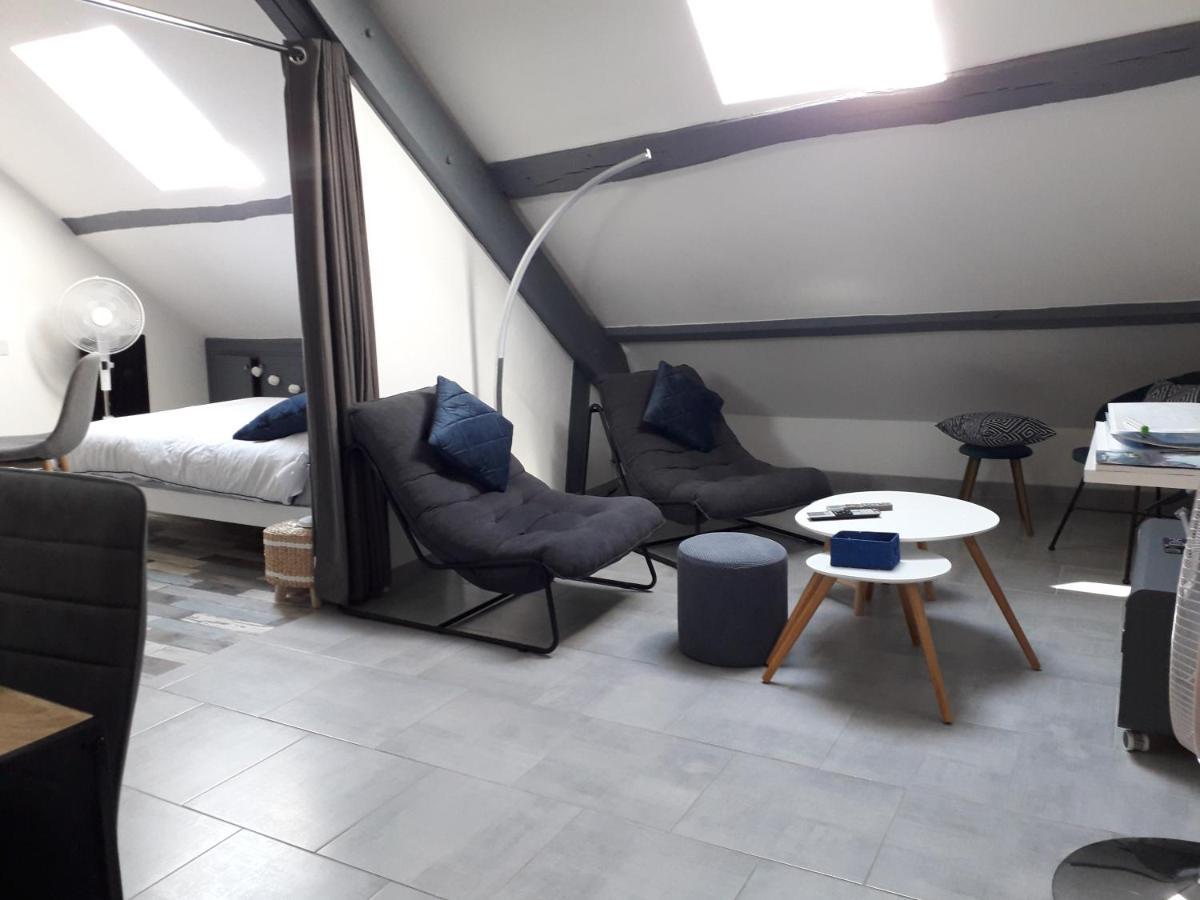 Loft Haut De Gamme Centre Montargis, Place De Parking, Local A Velos, Linge De Lits Et Serviettes, Coin Riviere Amenage, Hamac, Epicerie, Velos En Option, Tout Confort Jusqu'A 4 Voyageurs المظهر الخارجي الصورة