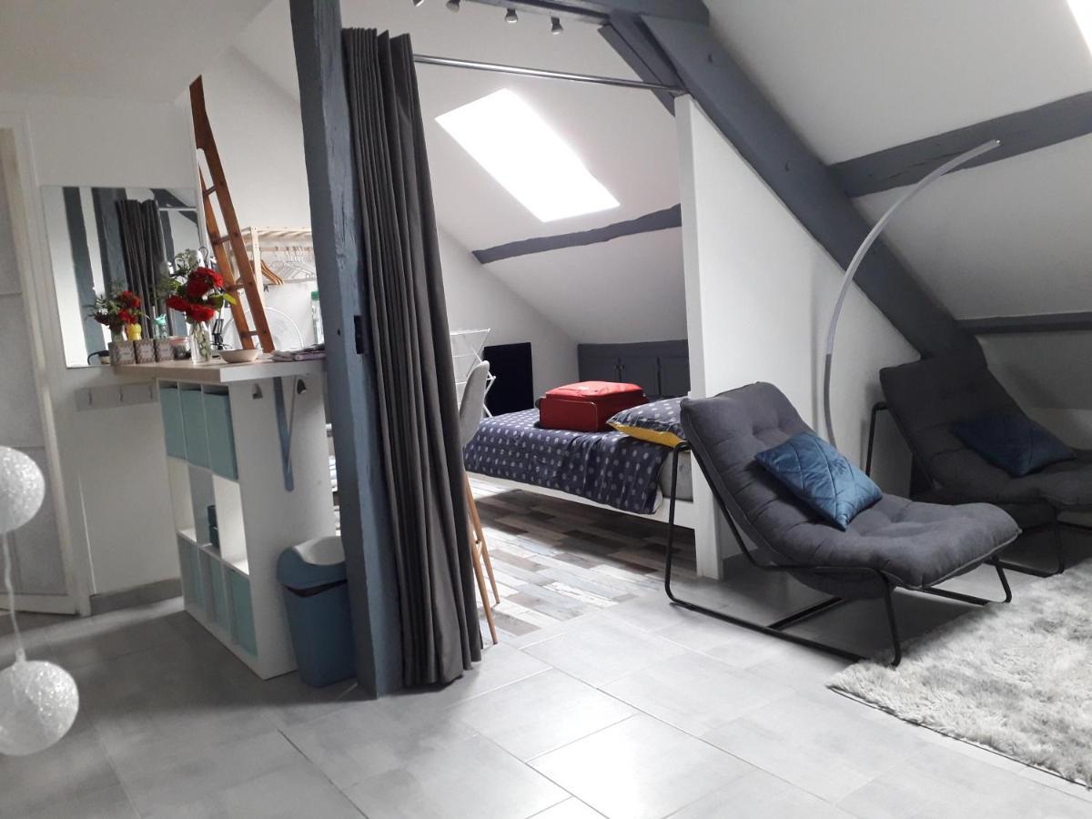 Loft Haut De Gamme Centre Montargis, Place De Parking, Local A Velos, Linge De Lits Et Serviettes, Coin Riviere Amenage, Hamac, Epicerie, Velos En Option, Tout Confort Jusqu'A 4 Voyageurs المظهر الخارجي الصورة
