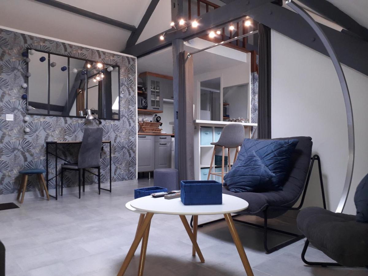 Loft Haut De Gamme Centre Montargis, Place De Parking, Local A Velos, Linge De Lits Et Serviettes, Coin Riviere Amenage, Hamac, Epicerie, Velos En Option, Tout Confort Jusqu'A 4 Voyageurs المظهر الخارجي الصورة